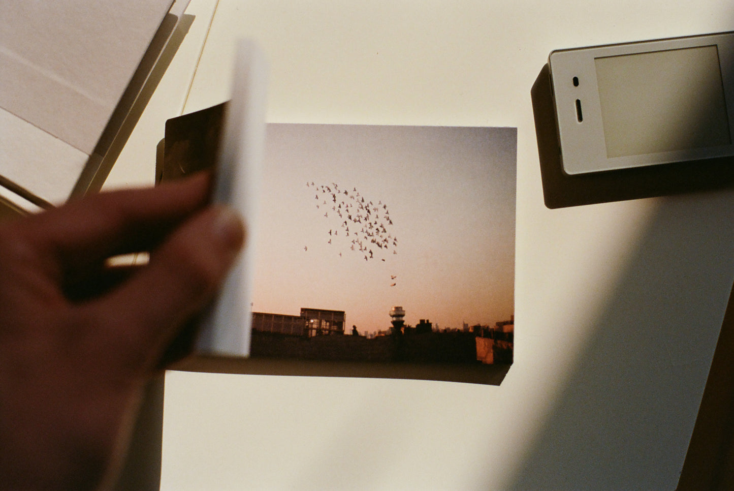 Light Postcard Set