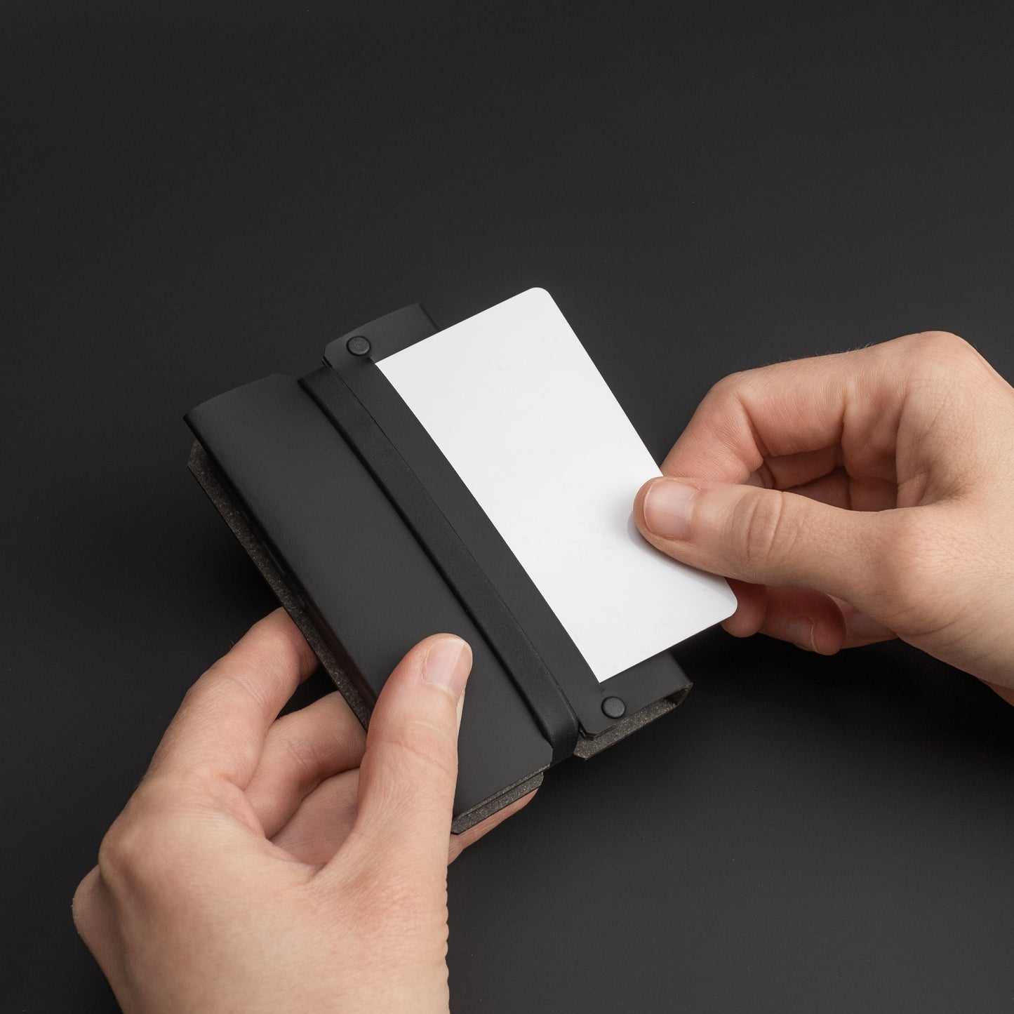 Lemur Cover - Light Phone II