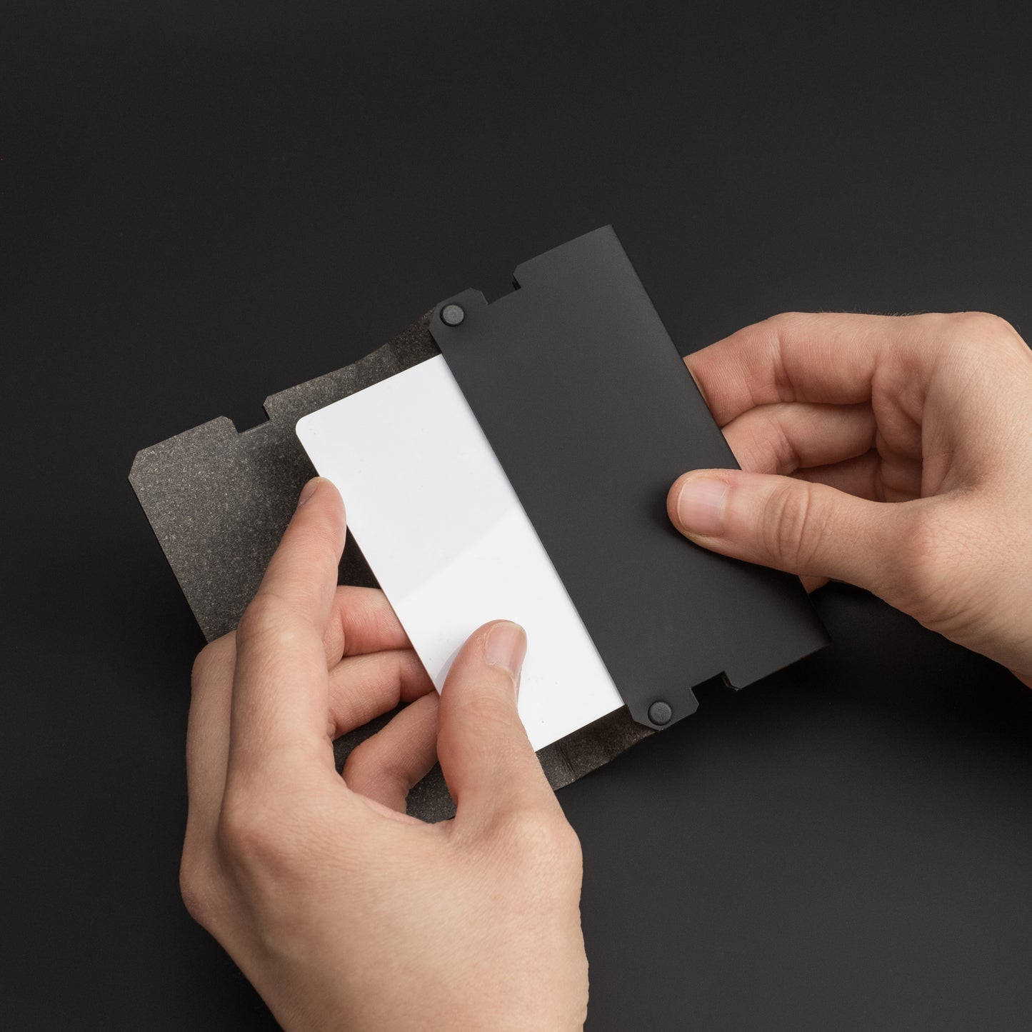 Lemur Cover - Light Phone II