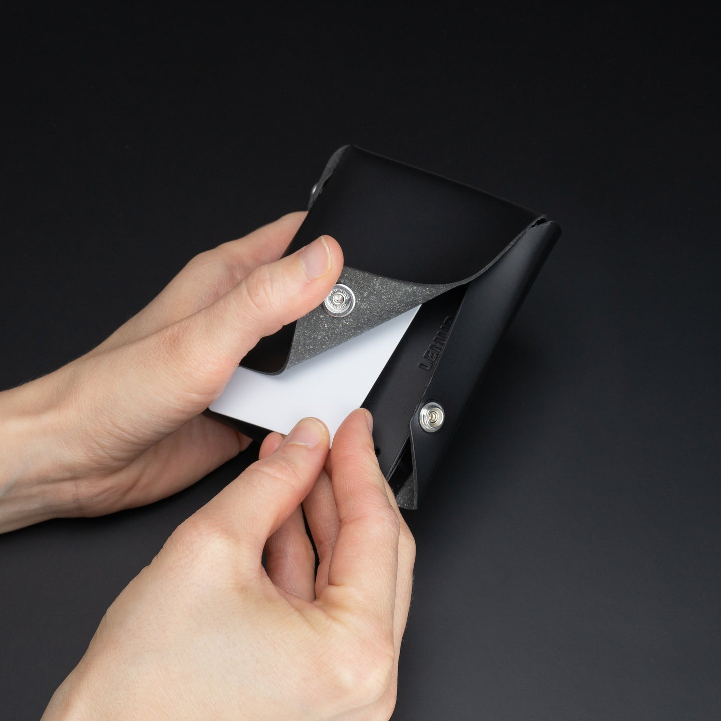 Lemur Cover - Light Phone III