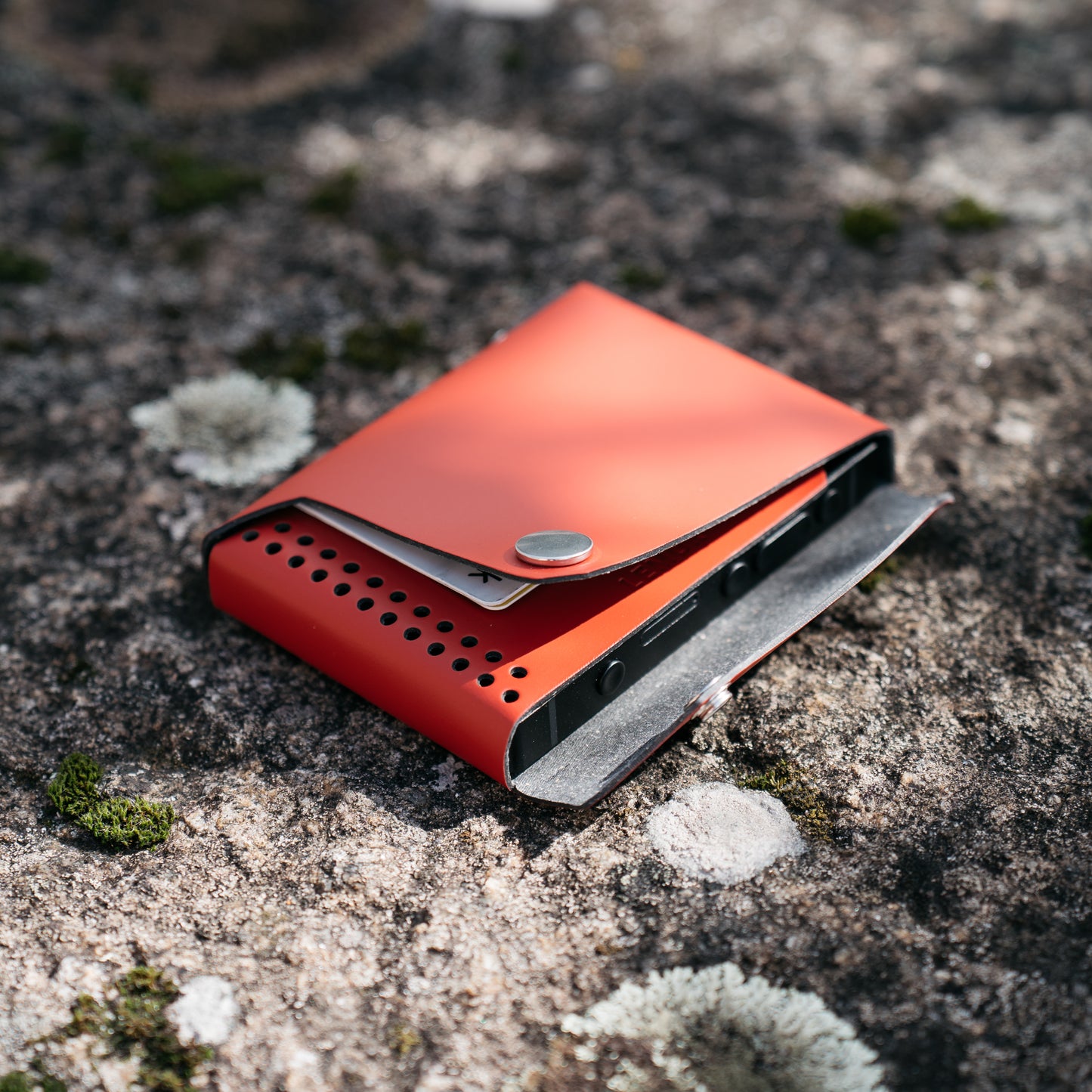 Lemur Cover - Light Phone III