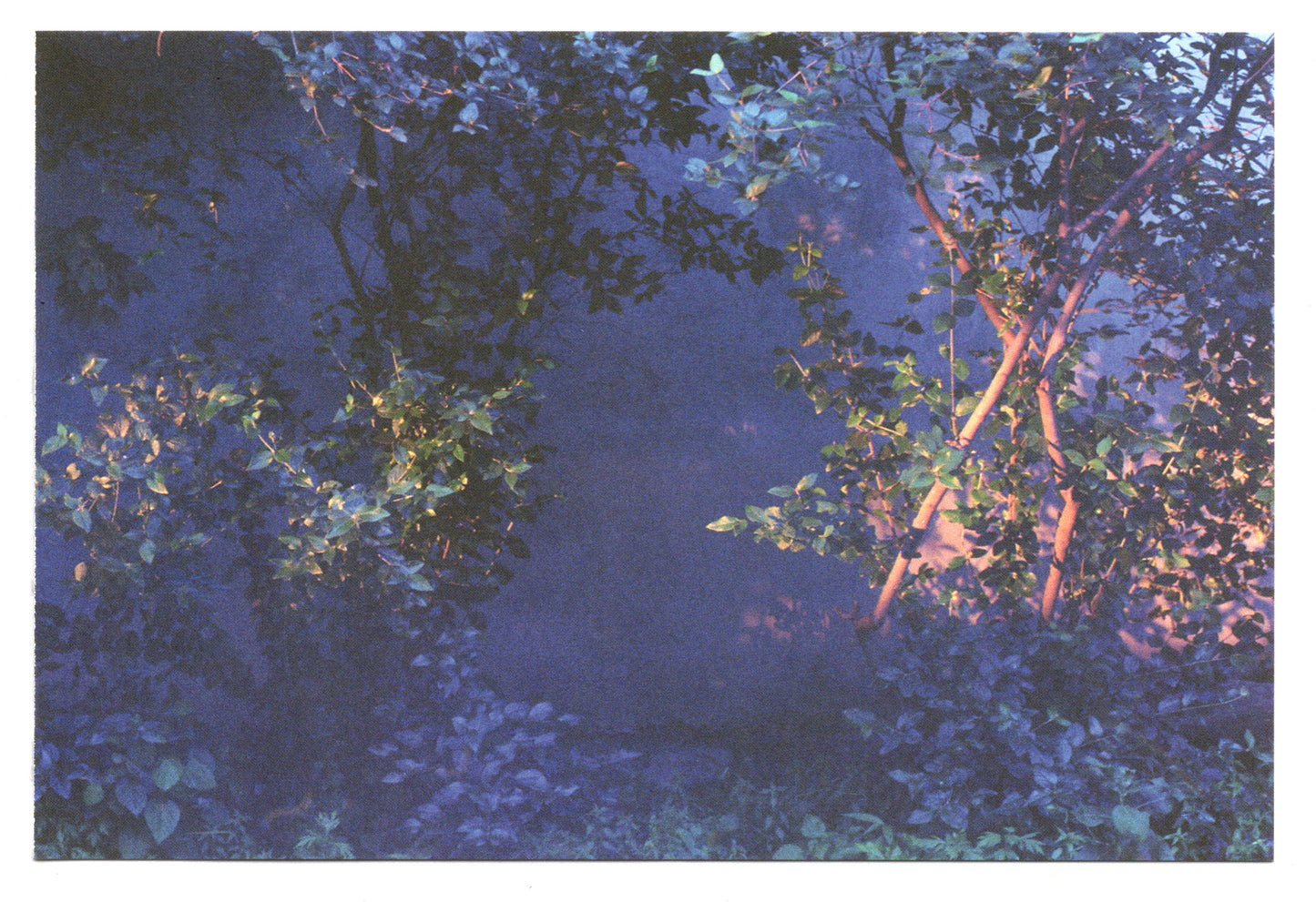 Light Postcard Set