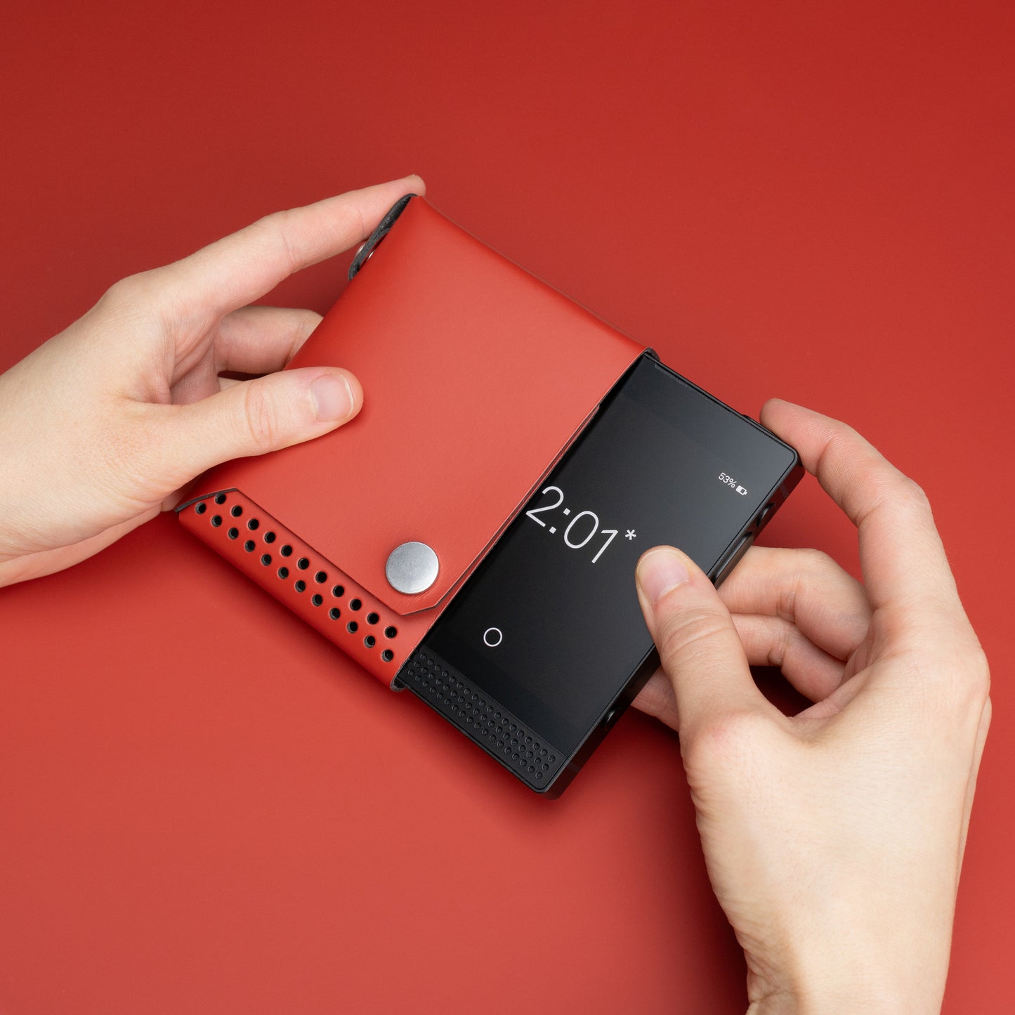 Lemur Cover - Light Phone III