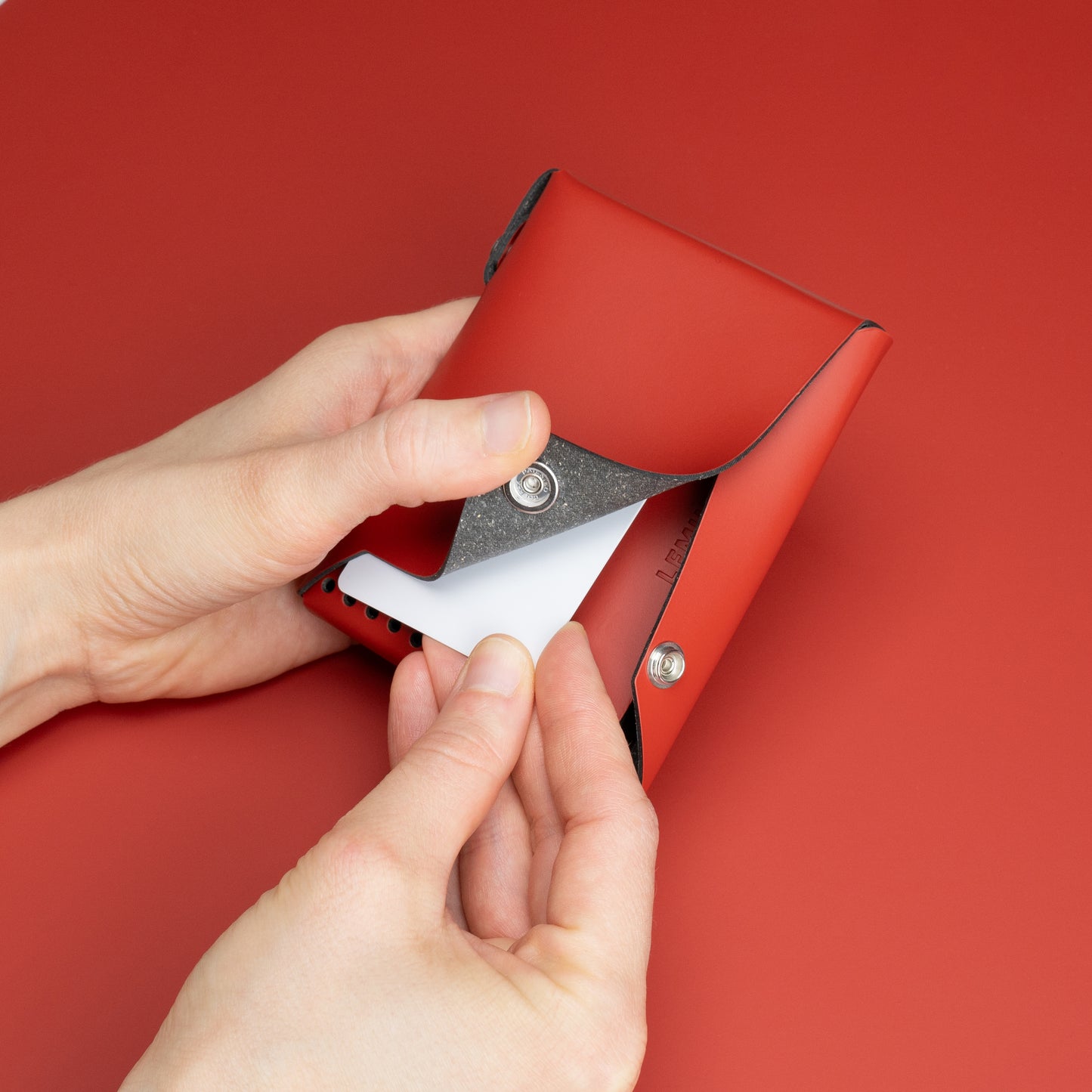 Lemur Cover - Light Phone III