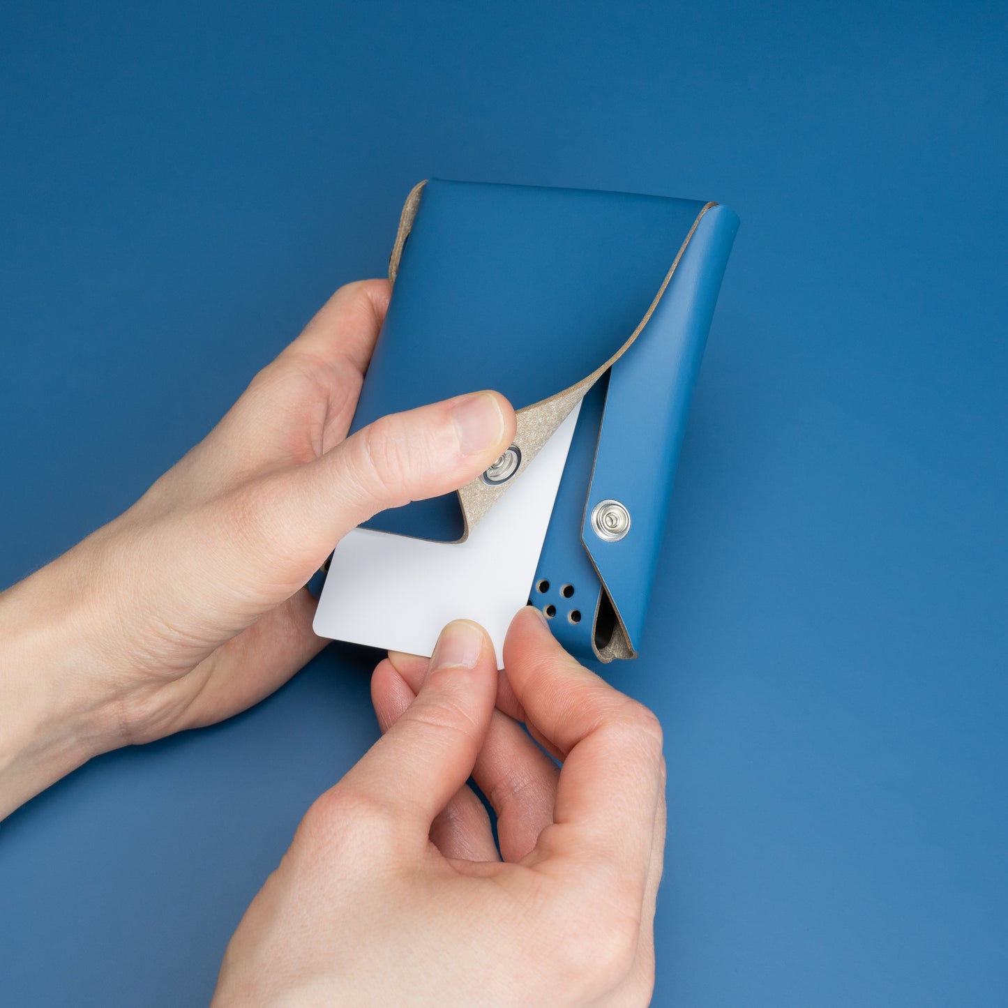 Lemur Cover - Light Phone III